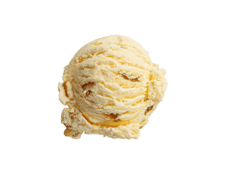 Kapiti Hokey Pokey Ice Cream